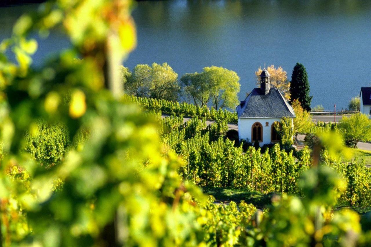 Apartamento Weingut Christoffel Kövenig Exterior foto